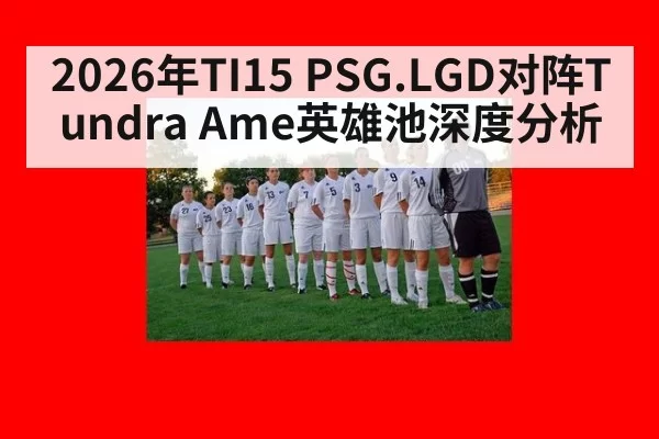 2026年TI15 PSG.LGD对阵Tundra Ame英雄池深度分析